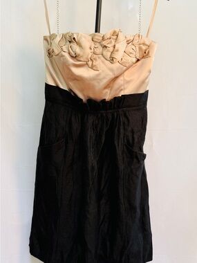 BCBG Two-Tone Strapless Dress in Champagne and Black